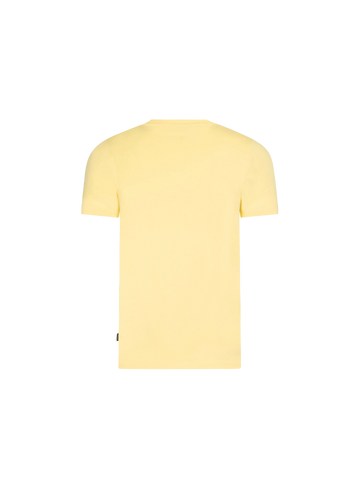 Cavallaro Semi body-fit t-shirt 117241015