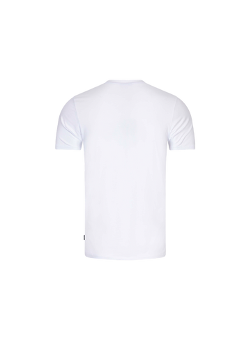 Cavallaro Classic plain shirt 117241003