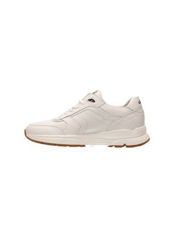 Australian Sneaker Covilha