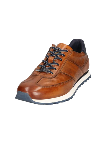 Bugatti Sneaker 331.ARX01.4100