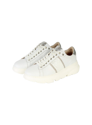 Roberto D'angelo Sneaker Rosalie rosalie