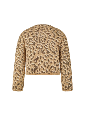 Le comte Vest 613522