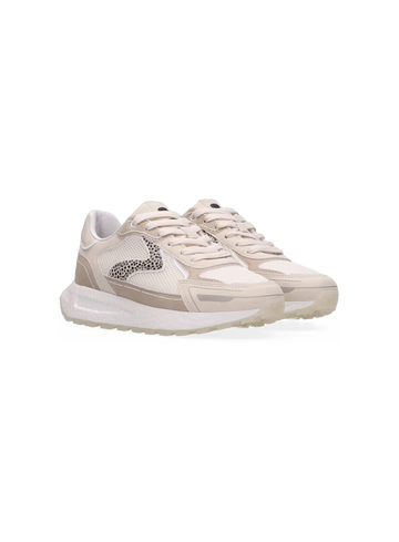 Maruti Sneaker June june
