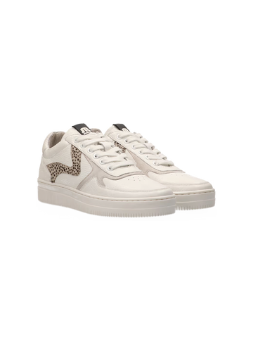 Maruti Sneaker Momo momo