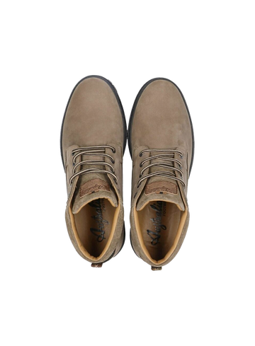 Australian Schoen Middelburg 15157804