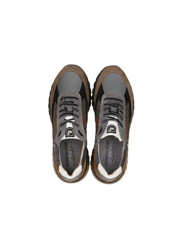 Australian Sneaker Sparrow