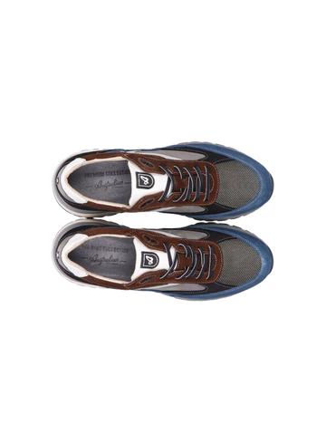 Australian Sneaker Sparrow