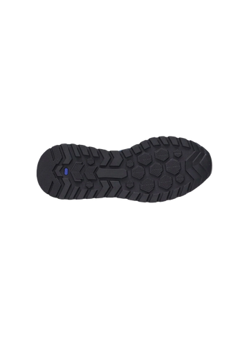 Australian Sneaker Sparrow