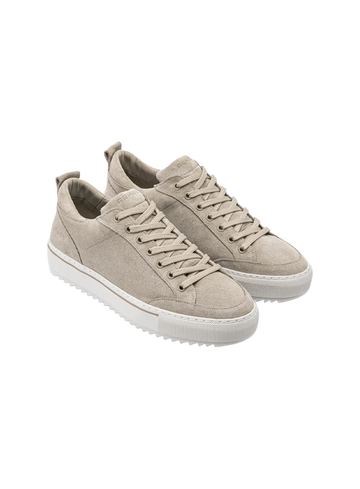 Rehab Sneaker Crash Sue