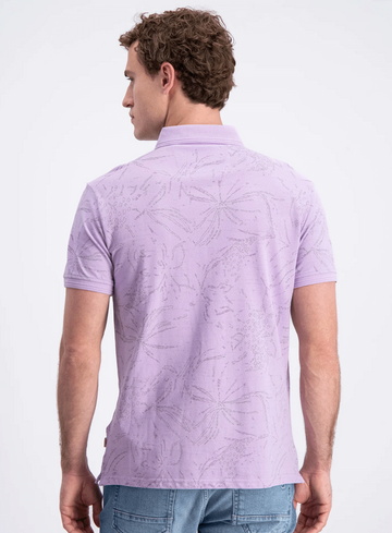 Gabbiano Polo Brenzi