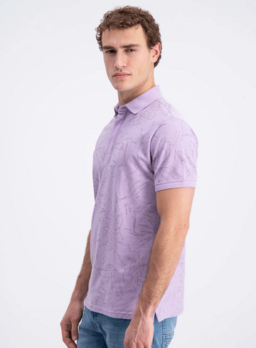Gabbiano Polo Brenzi
