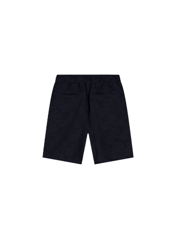 Law of the Sea Short Bris