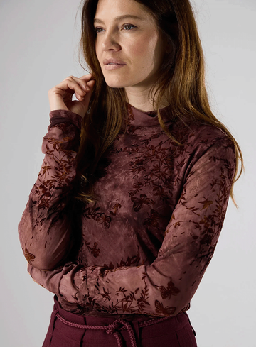 Label Dot Top Moriah 2625009