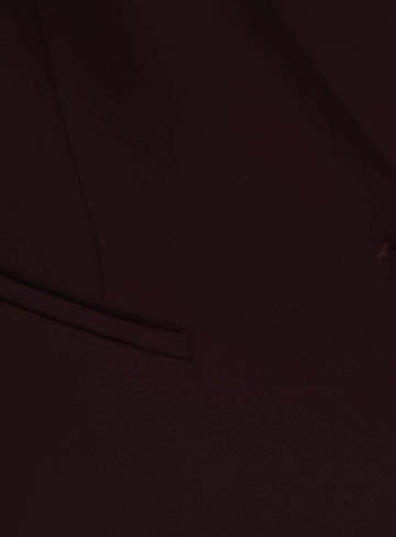 Anna van Toor Blazer