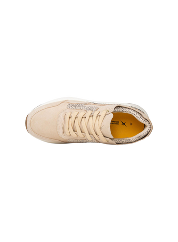 Xsensible Sneaker Golden Gate