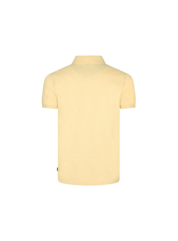 Cavallaro Polo Bavone 116261004