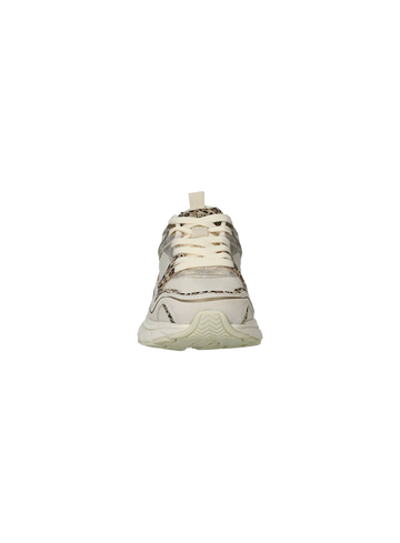 Maruti Sneaker Novi