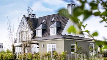 Moonstone Quartz Kalei Pure & Original