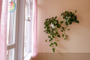 Prosjekt Steinerskolen i Hurdal Aina Lauritsen Pure & Original