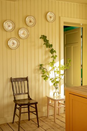 Daybreak Traditional Paint Pure & Original Capsule Collection Natural High x KOI Colour Studio