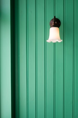 Aurora Traditional Paint Pure & Original Capsule Collection Natural High x KOI Colour Studio