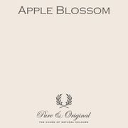 Apple Blossom