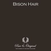 Bison Hair