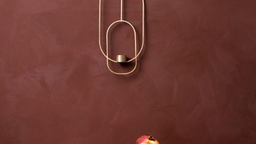 Pure & Original Fresco lime paint in cardinal red color