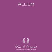 Allium