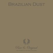 Brazilian Dust