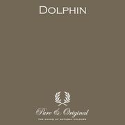 Dolphin