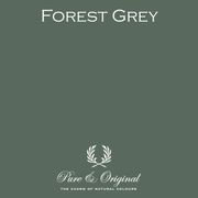 Forest Grey