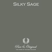 Silky Sage
