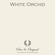 White-Orchid