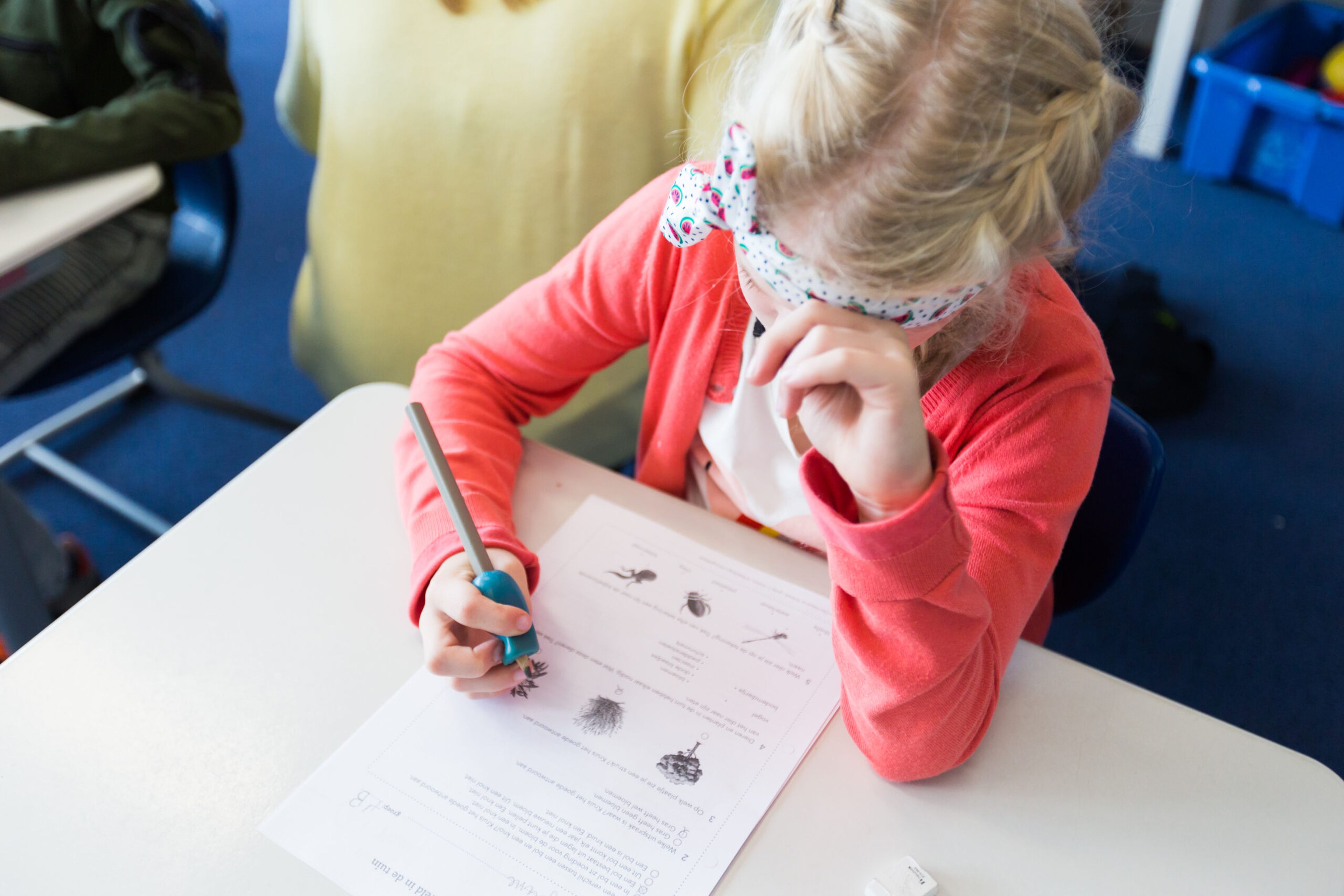 Leerling aan het werk - toets - parnassys