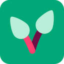 Schoolkwaliteit icon
