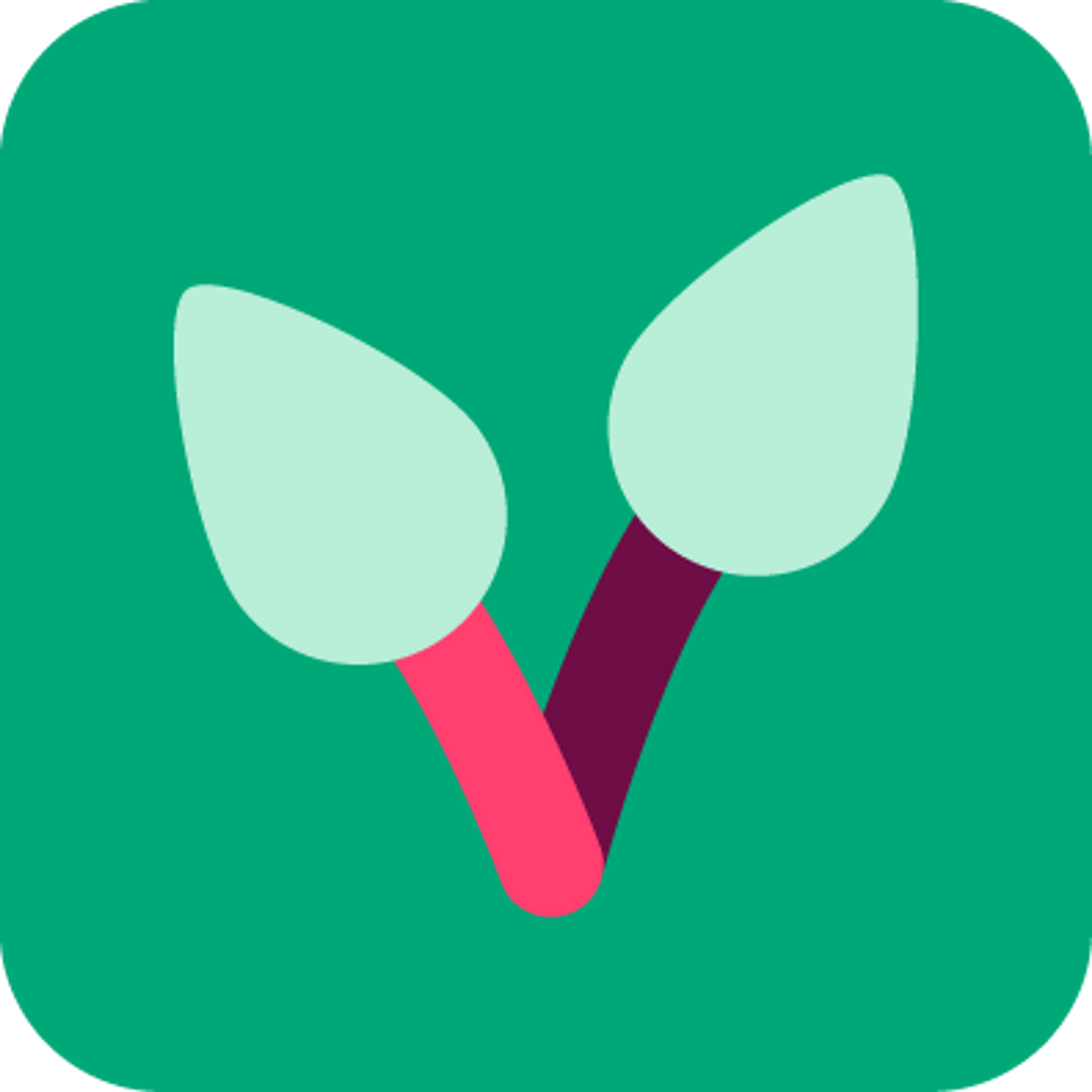 Schoolkwaliteit icon