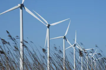 windmolens-met-riet.jpg