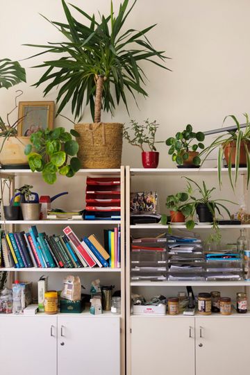 Planten kastjes behandelingen